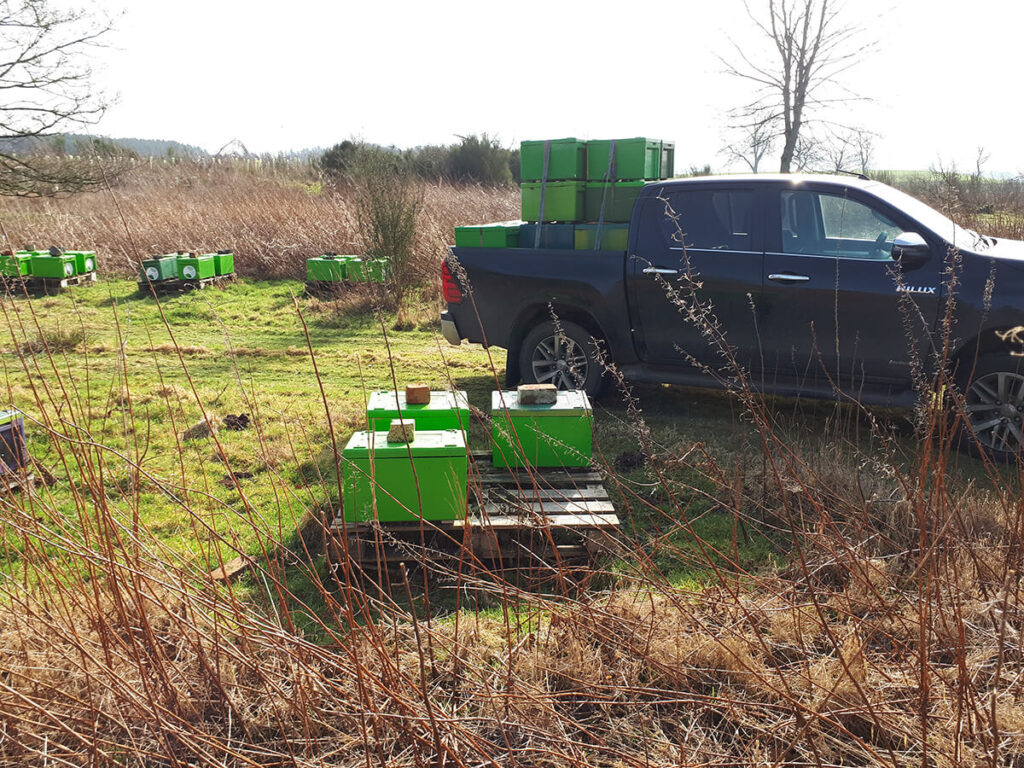 Loading 30 Nucs on a truck